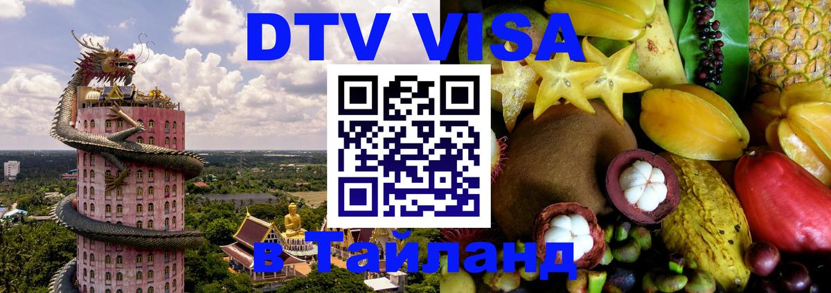 Сколько стоит DTV виза — актуальные цены, оформление даже без документов - 19.11.2025 